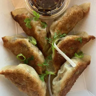 Pot Stickers