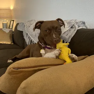 Katie B.