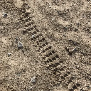 After a rain there is no better place to ride.