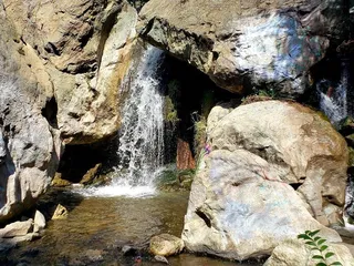 Bouquet Canyon Abandoned Campgrounds