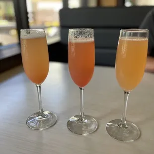 Mimosa Flight