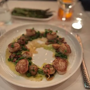Scallops