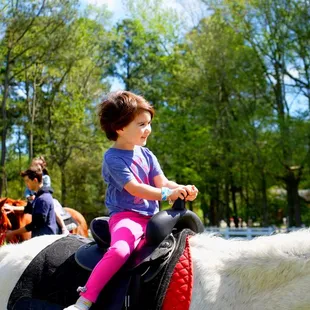 Pony Rides