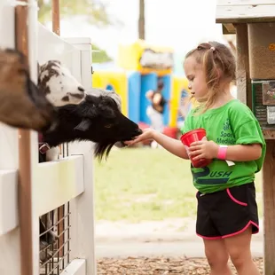 Buy a souvenir feed cup and our goats will join you for a snack.