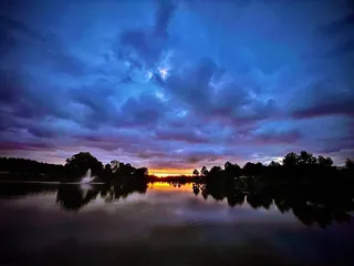 Why Not An American Ark