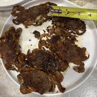 They weren't even large they were mediums at best