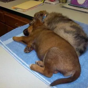 We put our patients at ease here!