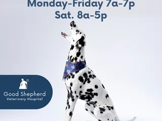 Good Shepherd Veterinary Hospital