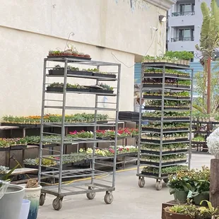 Huntington Beach Farmers' Market