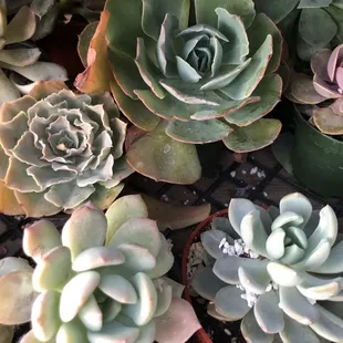 1/3/22 what can we find today?