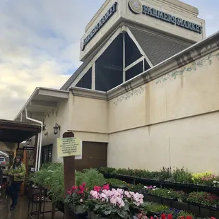 12/27/21 need groceries &amp; plants