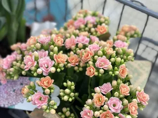 JONS Fresh  Marketplace