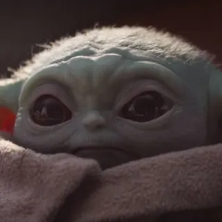 Baby Yoda G.