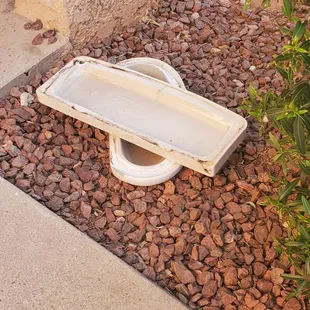 wonder how long these will be here