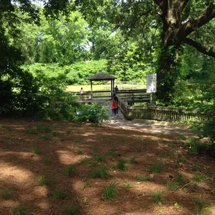 Pond across from Fort Fun. The other side if the parking lot.