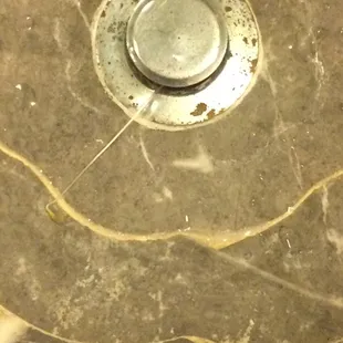 A plant growing out of bathroom sink