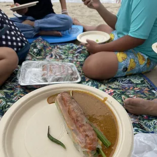 BBQ Pork Spring Rolls