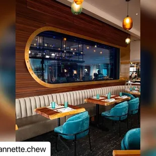 Jellyfish Tank Photo by Annette Chew