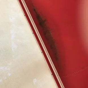 Black mold on cabana ceiling