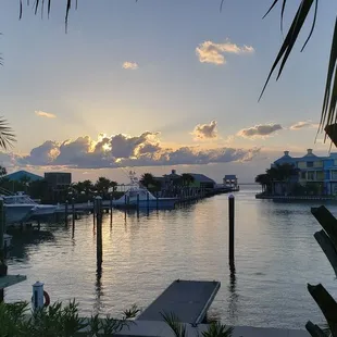 The view from their patio at sunset.