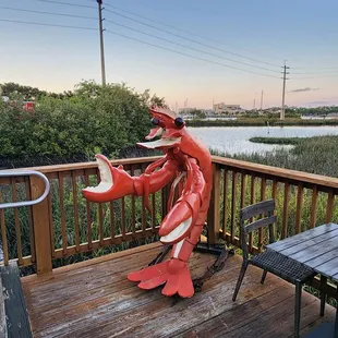 Out back on the patio