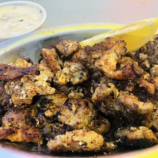 Blacken Gatortail!! Amazing