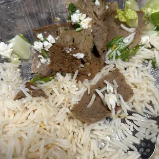 Gyro Plate
