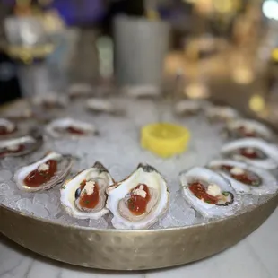 mussels, food, shellfish, oysters, oysters and mussels