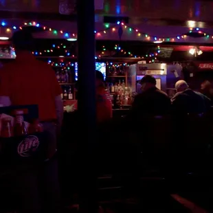 people sitting at the bar