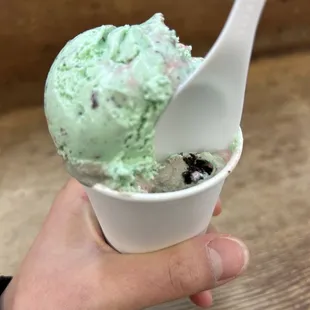 Dollar mint on top Oreo mint on bottom