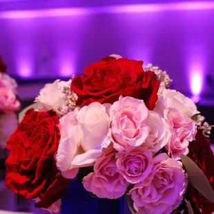 Hutchin Street Square Crete Hall Purple Uplighting | Brighten Up Event Lighting