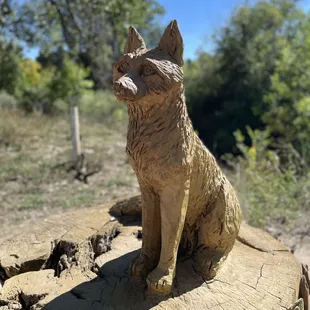 This wooden statue of a coyote is pretty new at the park; I noticed it today (Wednesday, 28th of September, 2022)