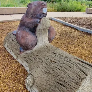 Bucky the Beaver