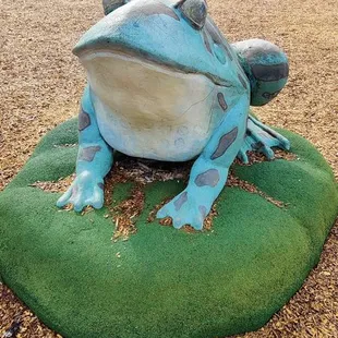 Freddy the frog