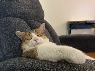 Prairie Vista Veterinary Hospital