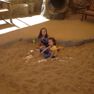 Learning about fossils of Kansas