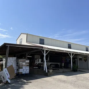 Hutton Peach Farm, Parker County, Texas