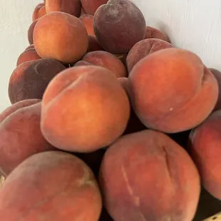 Hutton Peach Farm, Parker County, Texas