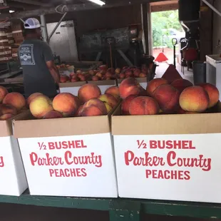 1/2 bushel of fresh peaches