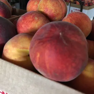 So beautiful! Just waiting to be eaten!!