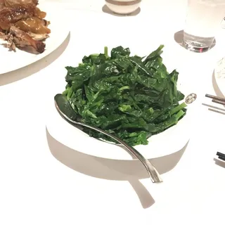 Snow Pea Sprouts in Supreme Broth