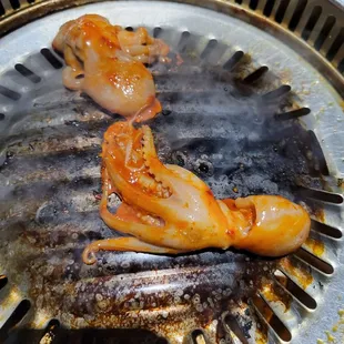 Spicy Baby Octopus