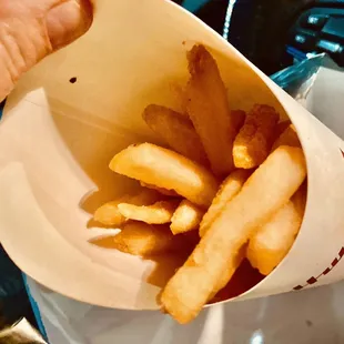 Hwy 55 -- battered fries