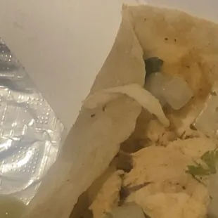 A bug in my tacos