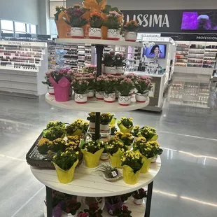 a display of flowers
