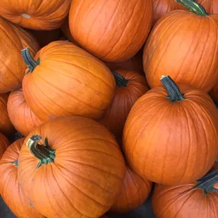 Pumpkins
