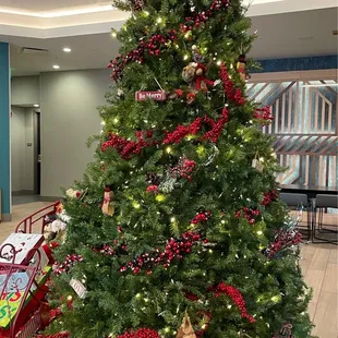 Christmas Tree in Lobby 2021