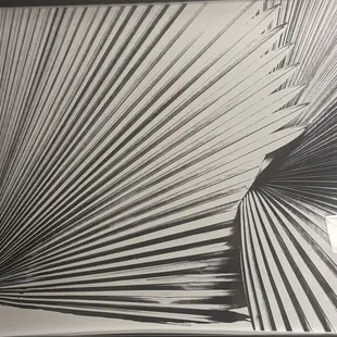 Wall art I just noticed