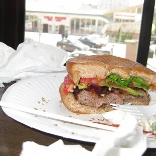 Amazing free burger cooked for July 4, 2009