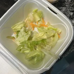 How the salad looks right after opening it. The bottom was soggy and brown